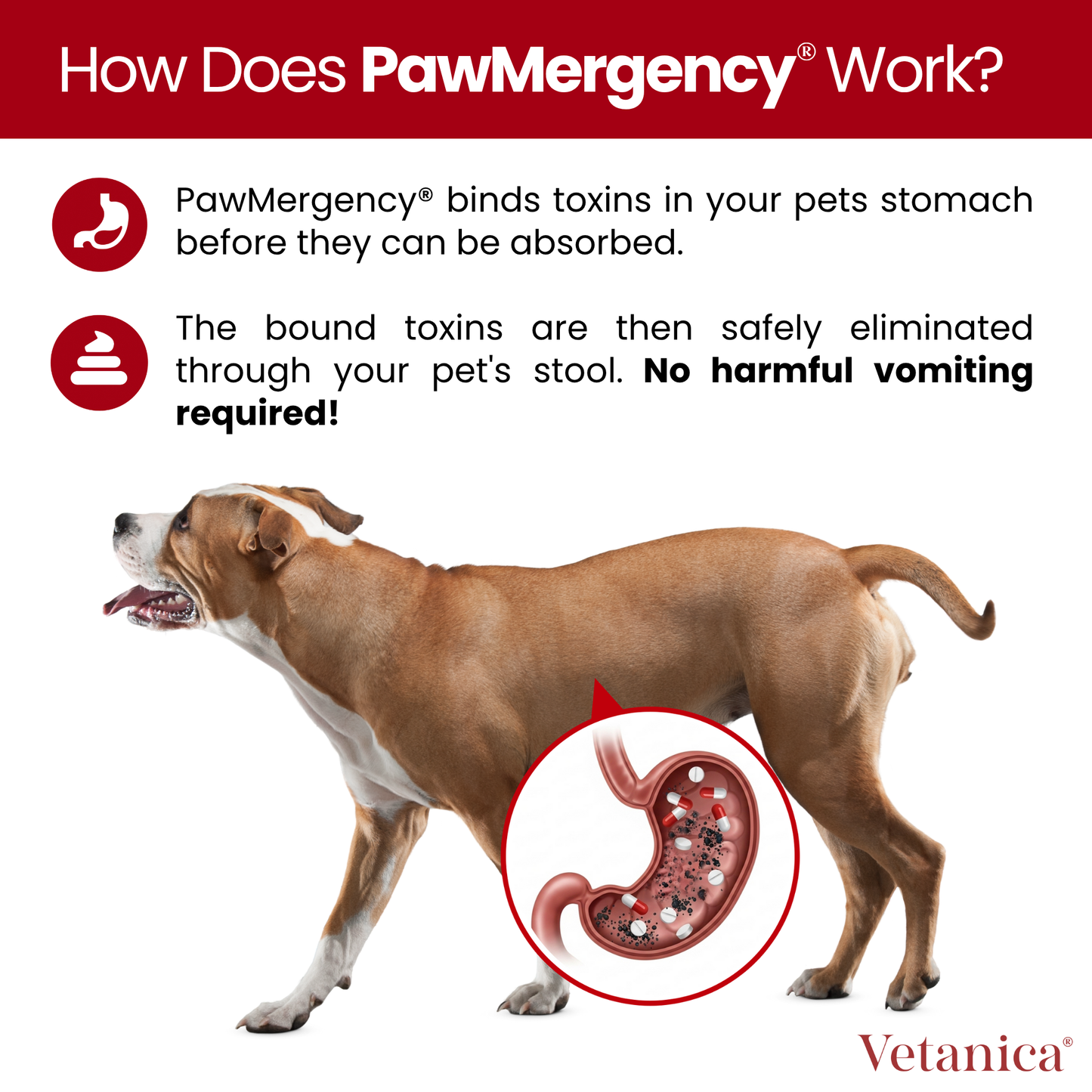 PawMergency® - Universal Antidote for Pet Poisons