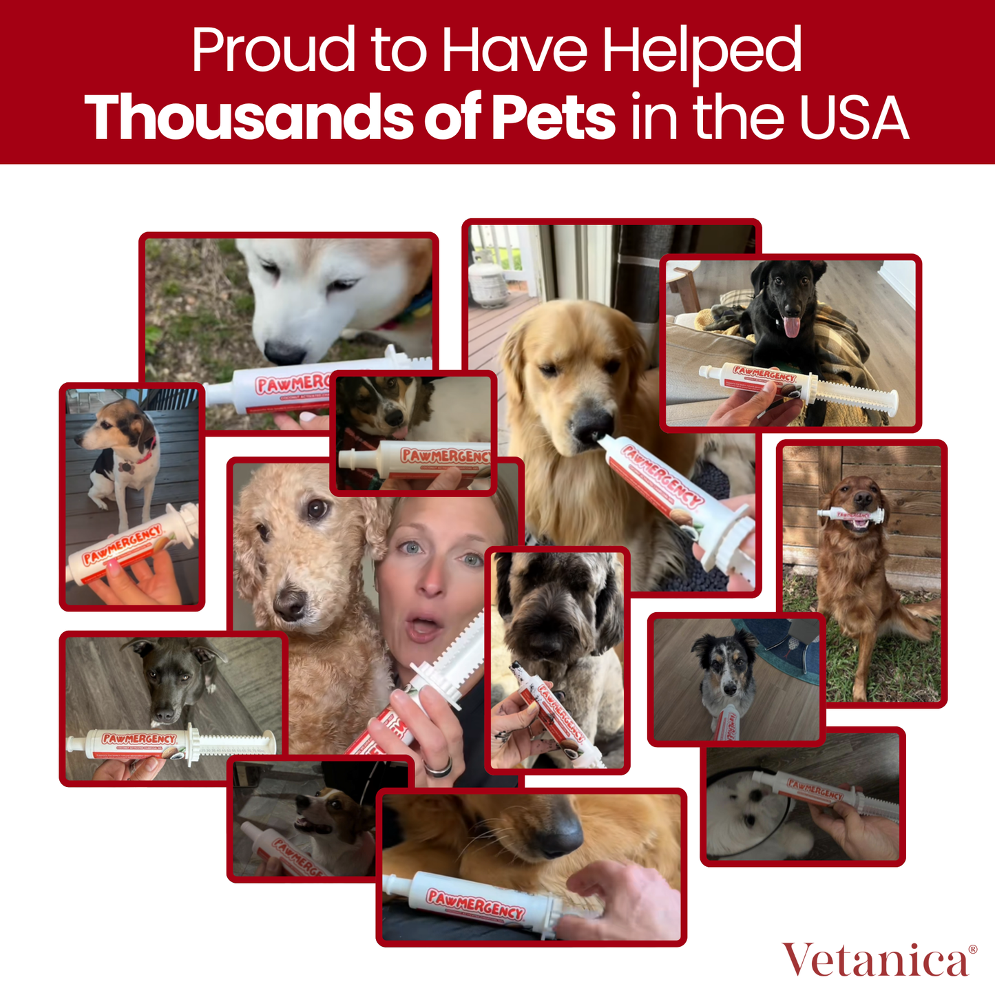PawMergency® - Universal Antidote for Pet Poisons