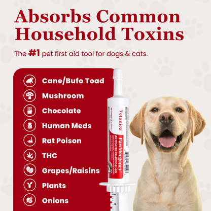 PawMergency - #1 First Aid Tool for Pet Poisons