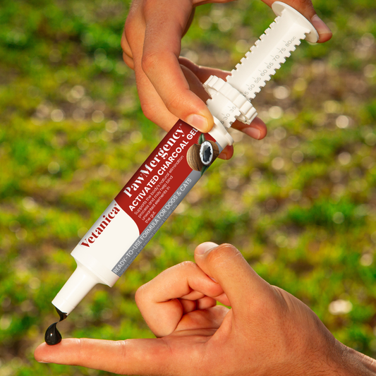 PawMergency® - Activated Charcoal & Kaolin Clay Paste for Pet Poisons