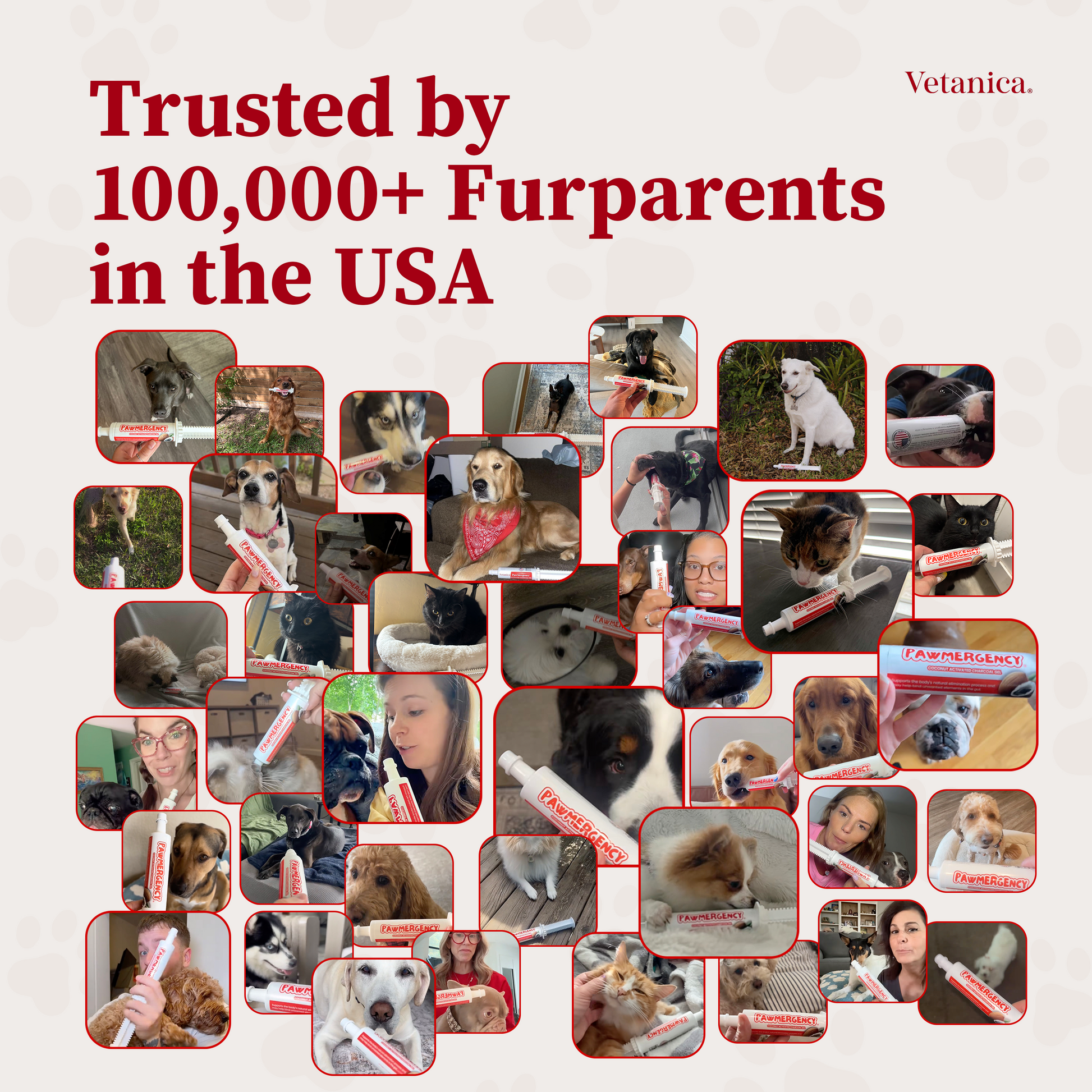 Photo collage of dogs and cats whose owners keep PawMergency on hand, headlined trusted by 100,000+ furparents in the USA.
