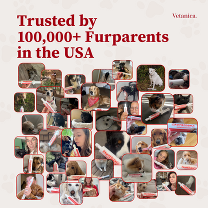Photo collage of dogs and cats whose owners keep PawMergency on hand, headlined trusted by 100,000+ furparents in the USA.
