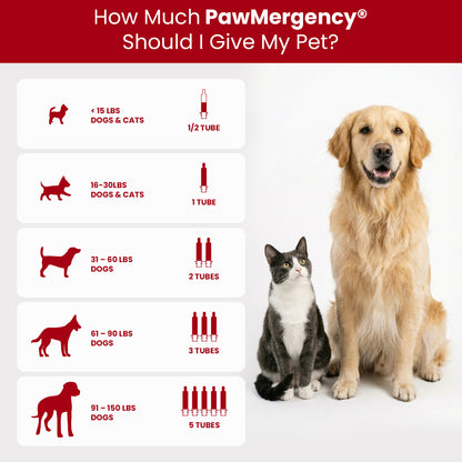 PawMergency® - Activated Charcoal & Kaolin Clay Paste for Pet Poisons
