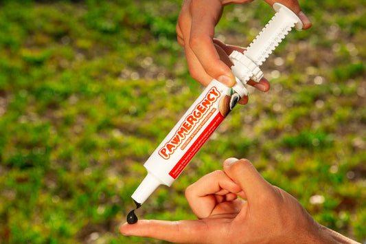 PawMergency® - Life Saving Detox Tool for Pet Poisons