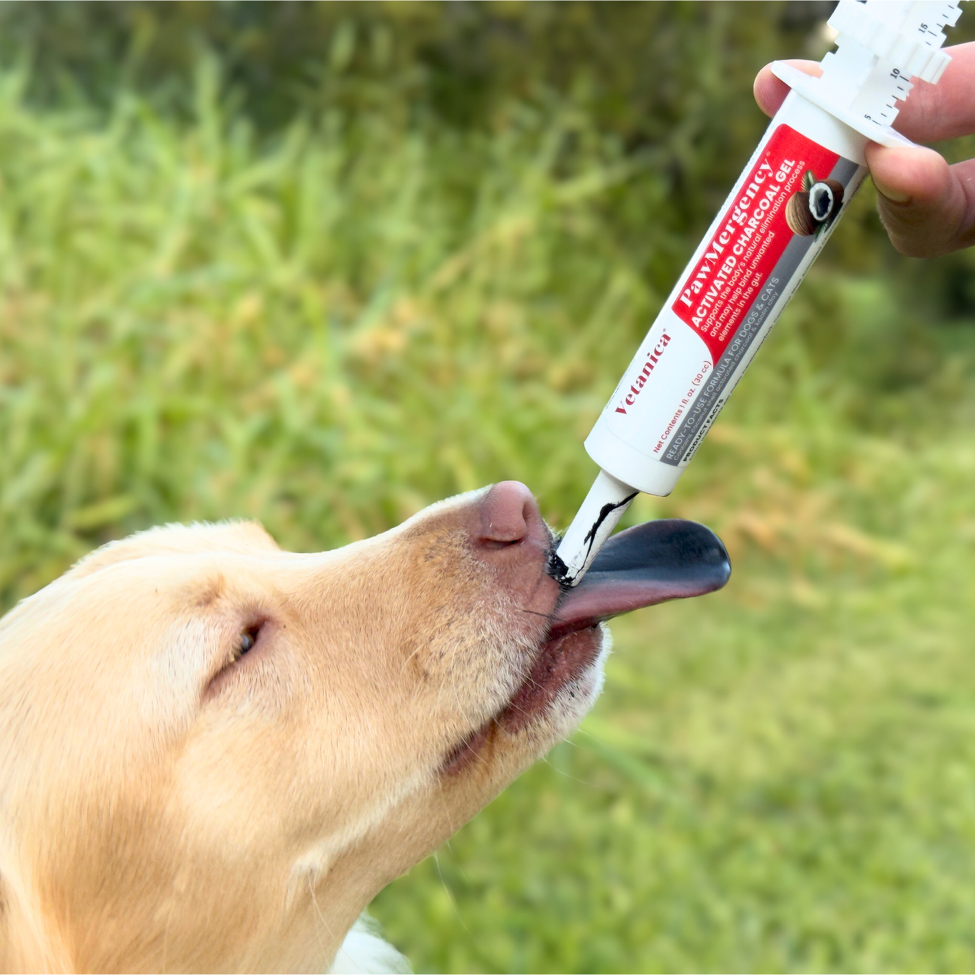 Step 3 - administer into your pets mouth