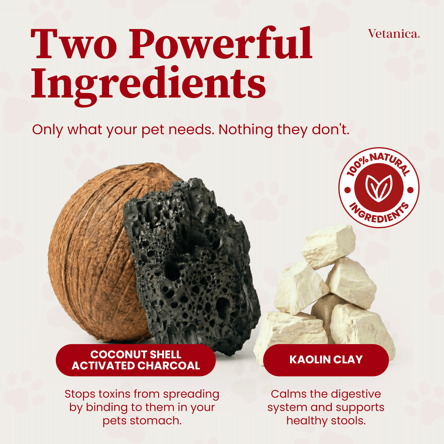 PawMergency® - Activated Charcoal & Kaolin Clay Paste for Pet Poisons