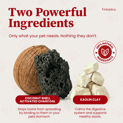 PawMergency® - Activated Charcoal & Kaolin First Aid Detox for Pet Poisons (30mL)