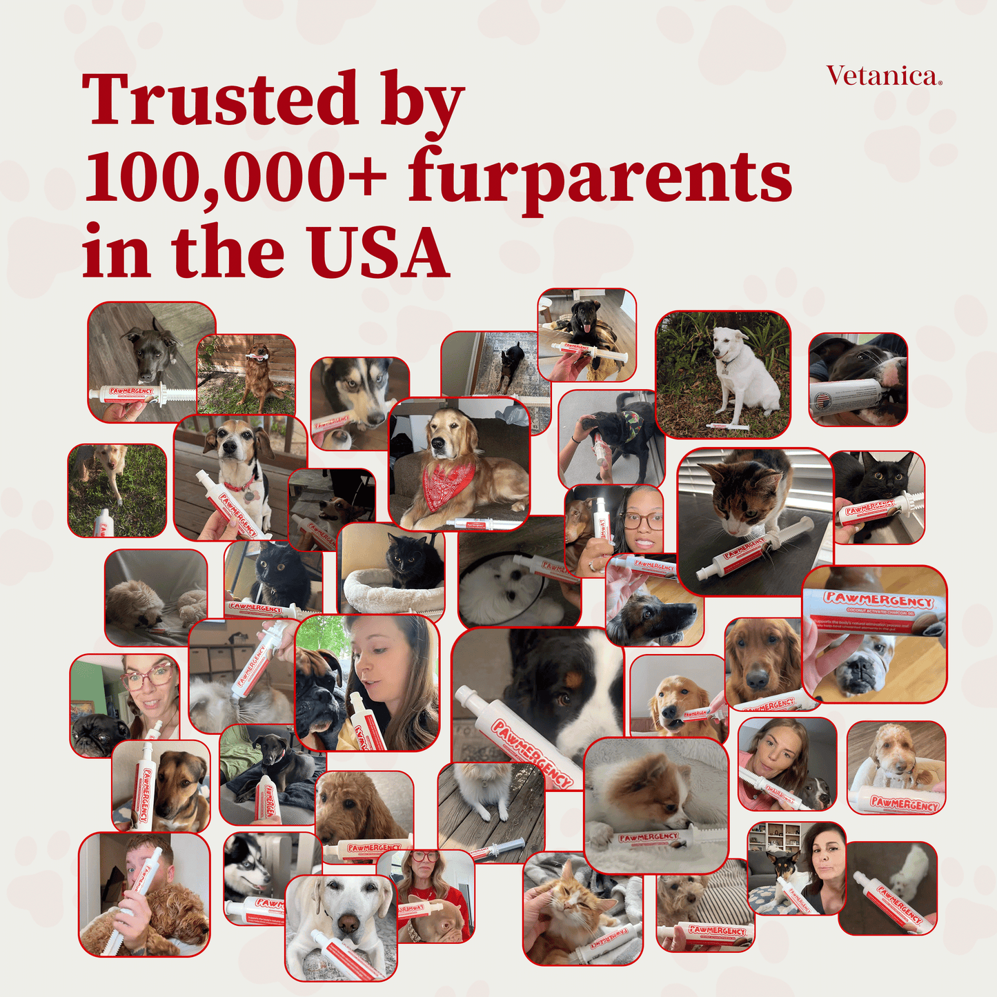 PawMergency® - Activated Charcoal & Kaolin Clay Paste for Pet Poisons