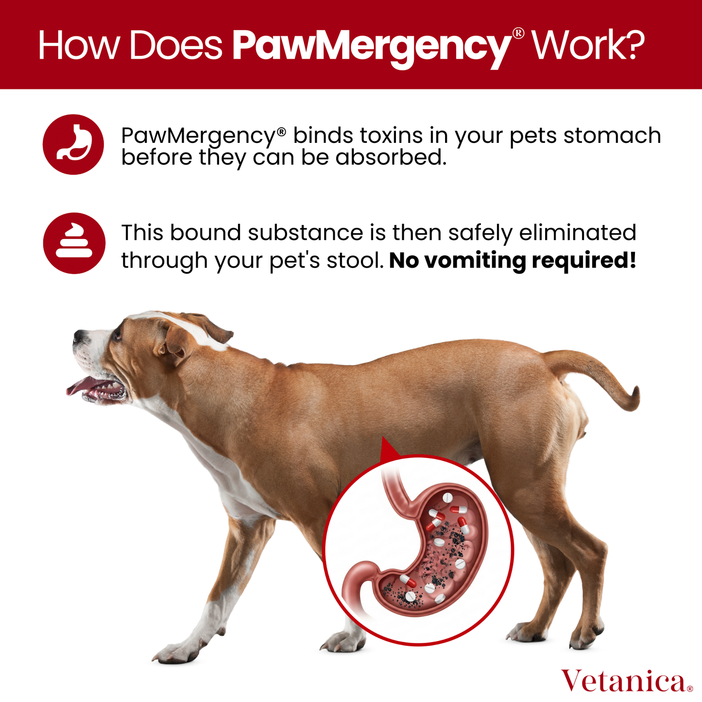 PawMergency® - Universal Antidote for Pet Poisons (30mL)