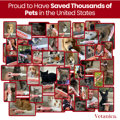 PawMergency® - Activated Charcoal & Kaolin Clay Paste for Pet Poisons