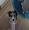 files/matt_54e51a54-ace9-4f99-9dca-e69a3f932b33.jpg